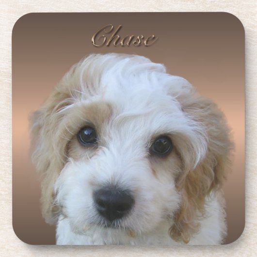 チェースコルクコースター コースター (正面)