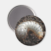 チェーファー幼虫磁石 マグネット (正面/裏面)