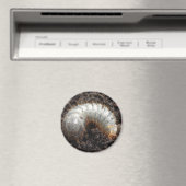 チェーファー幼虫磁石 マグネット (インサイチュ (食洗機))