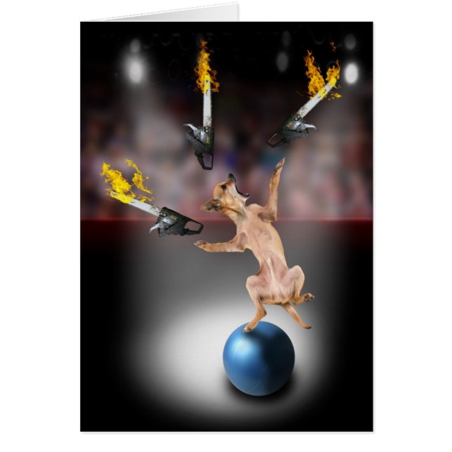 チェーンソーのごまかすチワワ (正面)