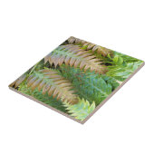 チェーンファーンフロントズフローラ タイル (側面)