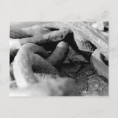 チェーン ポストカード (正面)