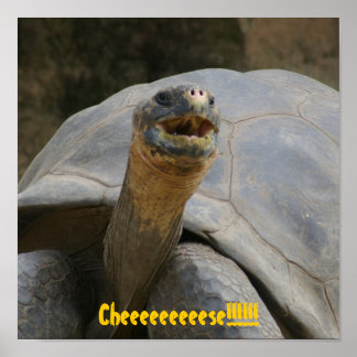 チェーーーーーーーーーー!!!!!! ポスター