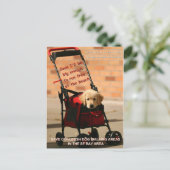 チェ救ーク外の犬歩く下院議員ペロシ！ ポストカード (スタンド正面)