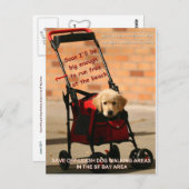 チェ救ーク外の犬歩く下院議員ペロシ！ ポストカード (正面/裏面)