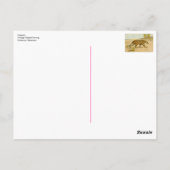 チエタヴィンテージパステルスケッチ ポストカード (裏面)