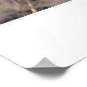 チエリラックスタ ポスター (角)