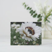 チエリー考えズ・オブ・ユー ポストカード (スタンド正面)