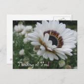 チエリー考えズ・オブ・ユー ポストカード (正面/裏面)