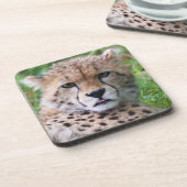 チエ間抜けタカブスクエア コースター (左側)