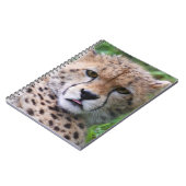 チエ間抜けタカブ ノートブック (左側)