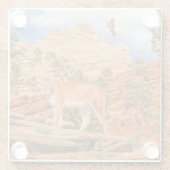 チオン国立公園のクーガーマウンテンライオン ガラスコースター (裏面)