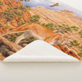 チオン国立公園のクーガーマウンテンライオン シェルパブランケット (3/4)