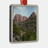 チオン国立公園のコロブキャニオン メタルオーナメント (右)