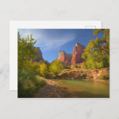 チオン国立公園の午後 ポストカード (正面/裏面)