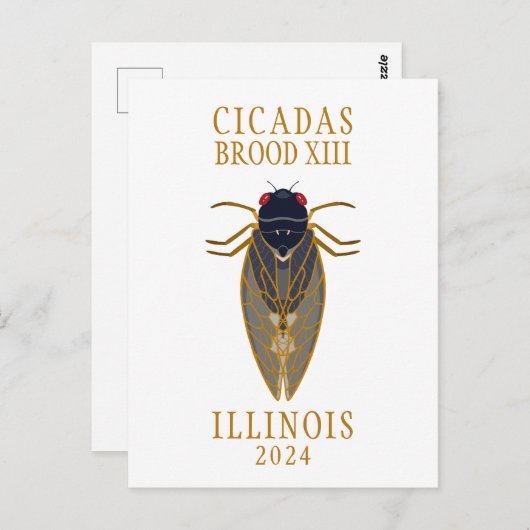 チカダブロッド13イリノイ2024カスタム文字 ポストカード (正面/裏面)