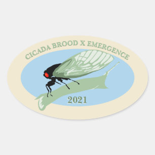 チカダブロッドX出現2021 楕円形シール