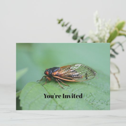 チカダ写真誕生日 招待状 (スタンド正面)