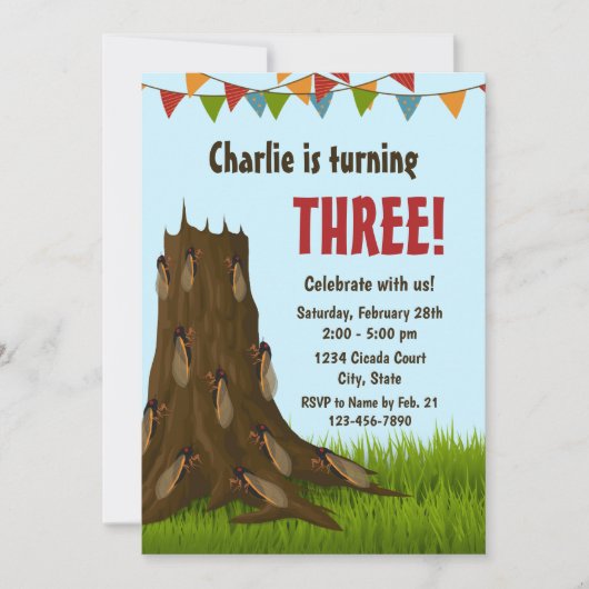 チカダ誕生日招待状 招待状 (正面)