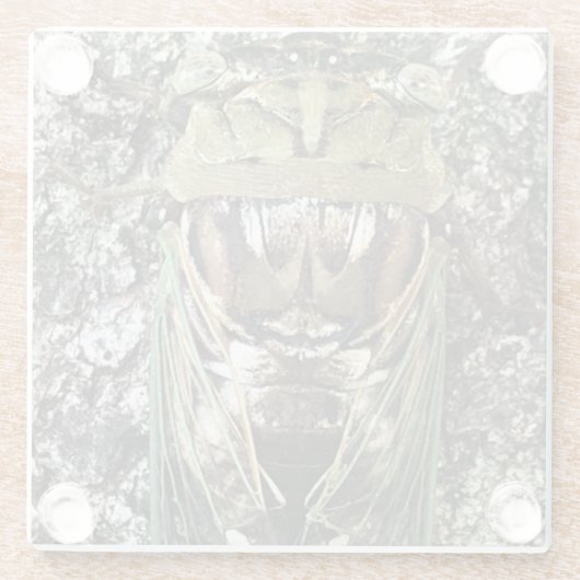 チカダ ガラスコースター (裏面)