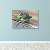 チカダ キャンバスプリント (インサイチュ (ウッドフロア))