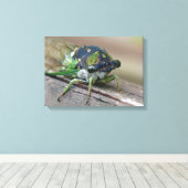 チカダ キャンバスプリント (インサイチュ (ウッドフロア))