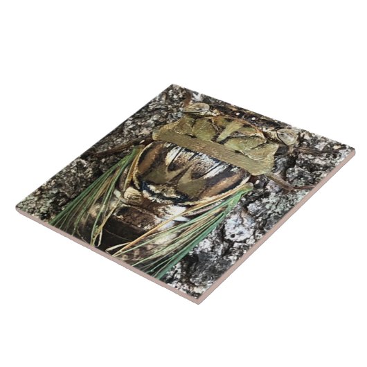 チカダ タイル (側面)