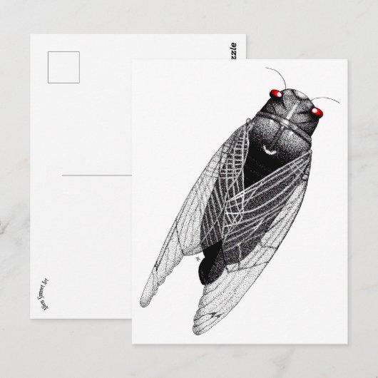 チカダ ポストカード (正面/裏面)