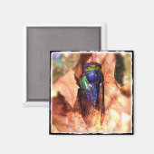 チカダ マグネット (正面/裏面)