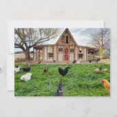 チキンおもしろいクリスマスフォトホリデーカード シーズンカード (裏面)