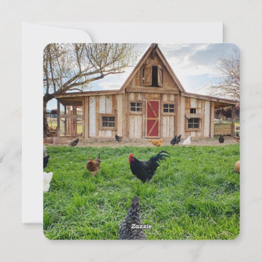 チキンおもしろいプリン広場クリスマスフォト シーズンカード (裏面)