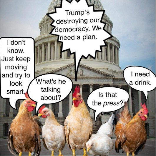 チキンおもしろい民主党の政治ユーモア Tシャツ