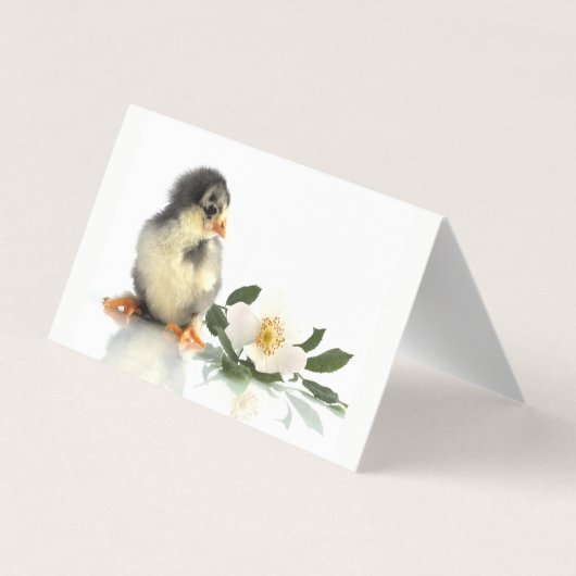 チキンおもしろい・折り畳み名刺 名刺 (裏面)