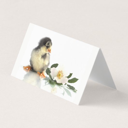 チキンおもしろい・折り畳み名刺 名刺 (正面)