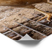 チキンって誰だ？ポスター ポスター (角)