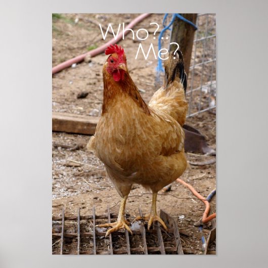 チキンって誰だ？ポスター ポスター (正面)