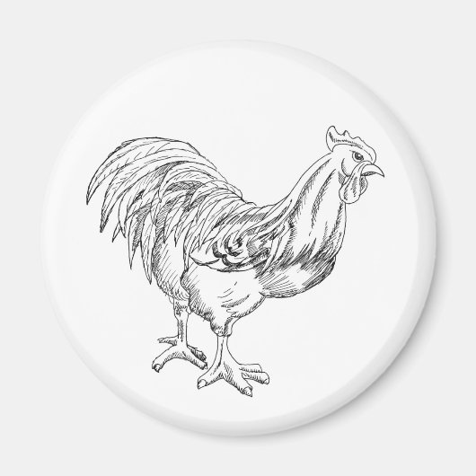 チキンインペン&インク マグネット (正面)