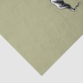 チキンウィッチハローウィンヴィンテージ魔女 薄葉紙 (詳細)