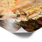 チキンオブザウッズマッシュルーム写真プリント フォトプリント            (角)