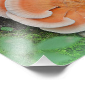 チキンオブザウッズマッシュルーム写真プリント フォトプリント            (角)