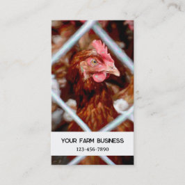 チキンカントリーファームヘン 名刺