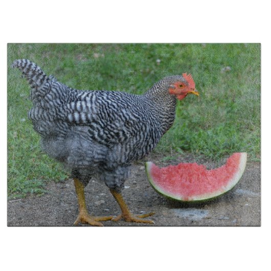 チキンガラス裁断板 カッティングボード (正面)