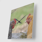 チキンクロック スクエア壁時計 (傾斜)