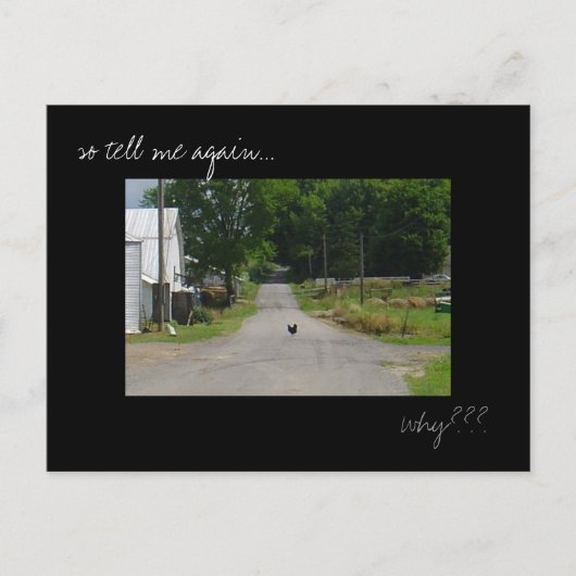 「チキンクロッシングロード」写真はがき ポストカード (正面)