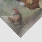 チキンクープティッシュペーパー 薄葉紙 (詳細)