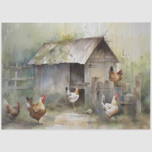 チキンクープティッシュペーパー 薄葉紙 (正面)