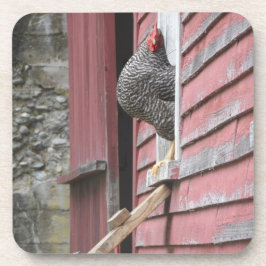 チキンクープ コースター