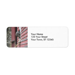 チキンクープ ラベル