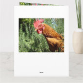 チキンサプライズ、メッセージを追加する カード (裏面)