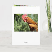 チキンサプライズ、メッセージを追加する カード (裏面)